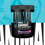 Animal Juiced Aminos
BCAA/EAA Amino Acid Blend for Muscle Recovery