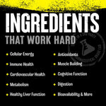 Animal Pak 44 packs
Comprehensive All-in-One Multivitamin and Supplement Pack