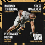 Animal TNT+
Boost Male Health, Performance, and Stamina
